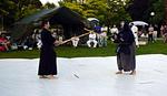 Thumbnail (gal/Iaido/Demonstrations/Karate_for_Community_2003/_thb_dsc00631.jpg)