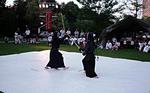 Thumbnail (gal/Iaido/Demonstrations/Karate_for_Community_2003/_thb_dsc00649.jpg)