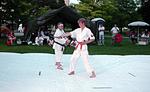 Thumbnail (gal/Iaido/Demonstrations/Karate_for_Community_2003/_thb_dsc00666.jpg)