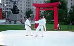 Thumbnail (gal/Iaido/Demonstrations/Karate_for_Community_2003/_thb_dsc00669.jpg)