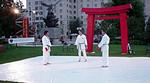 Thumbnail (gal/Iaido/Demonstrations/Karate_for_Community_2003/_thb_dsc00671.jpg)